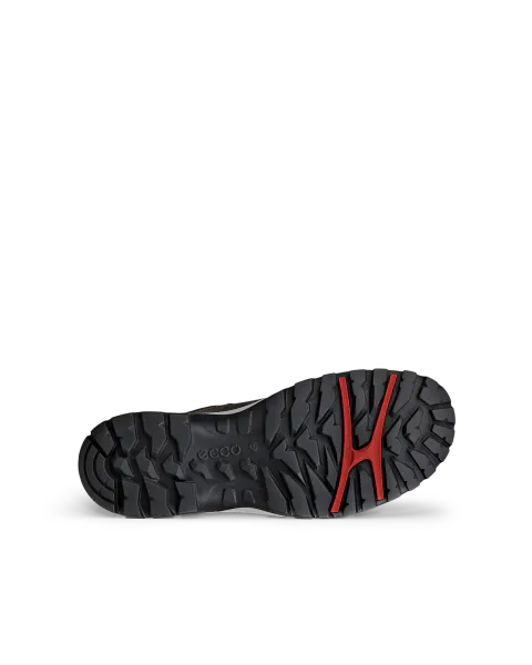 Hovedbilde ECCO Xpedition 3 H Waterproof, Dark Clay